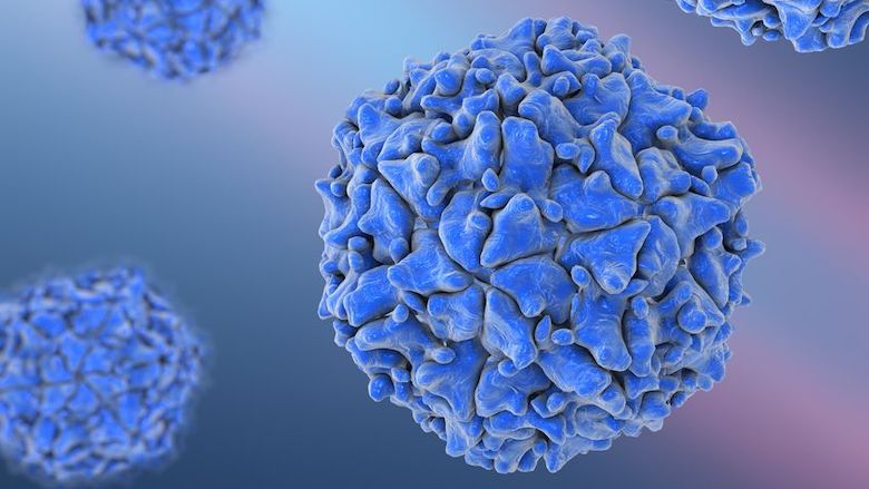 02092020 poliovirus.jpg 02092020 poliovirus.jpg