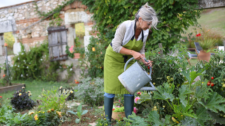 780x439_moestuin.jpg 780x439_moestuin.jpg