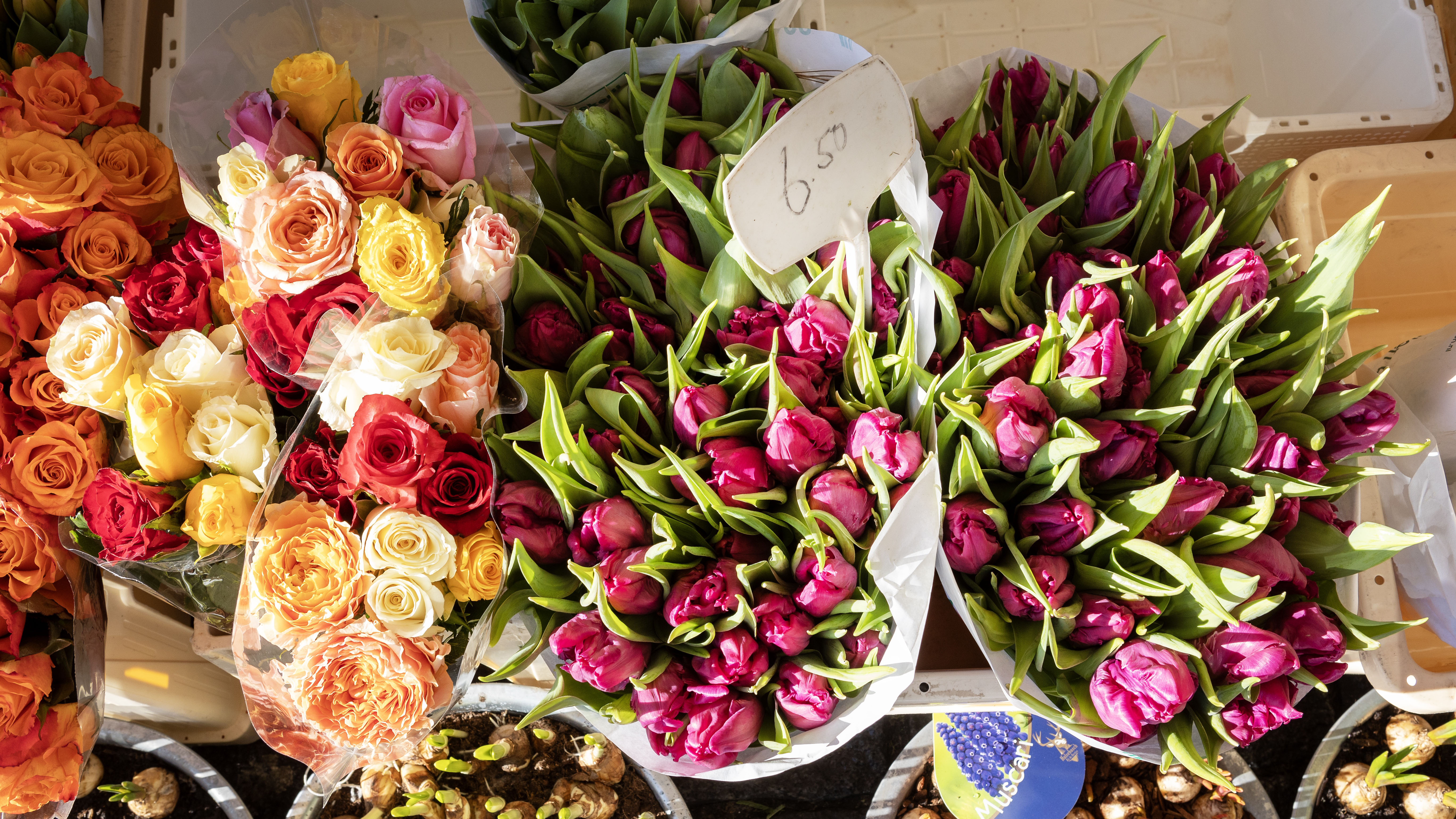 Onbespoten Bloemen Onbespoten Bloemen
