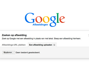 google_afbeeldingen_2_312.jpg