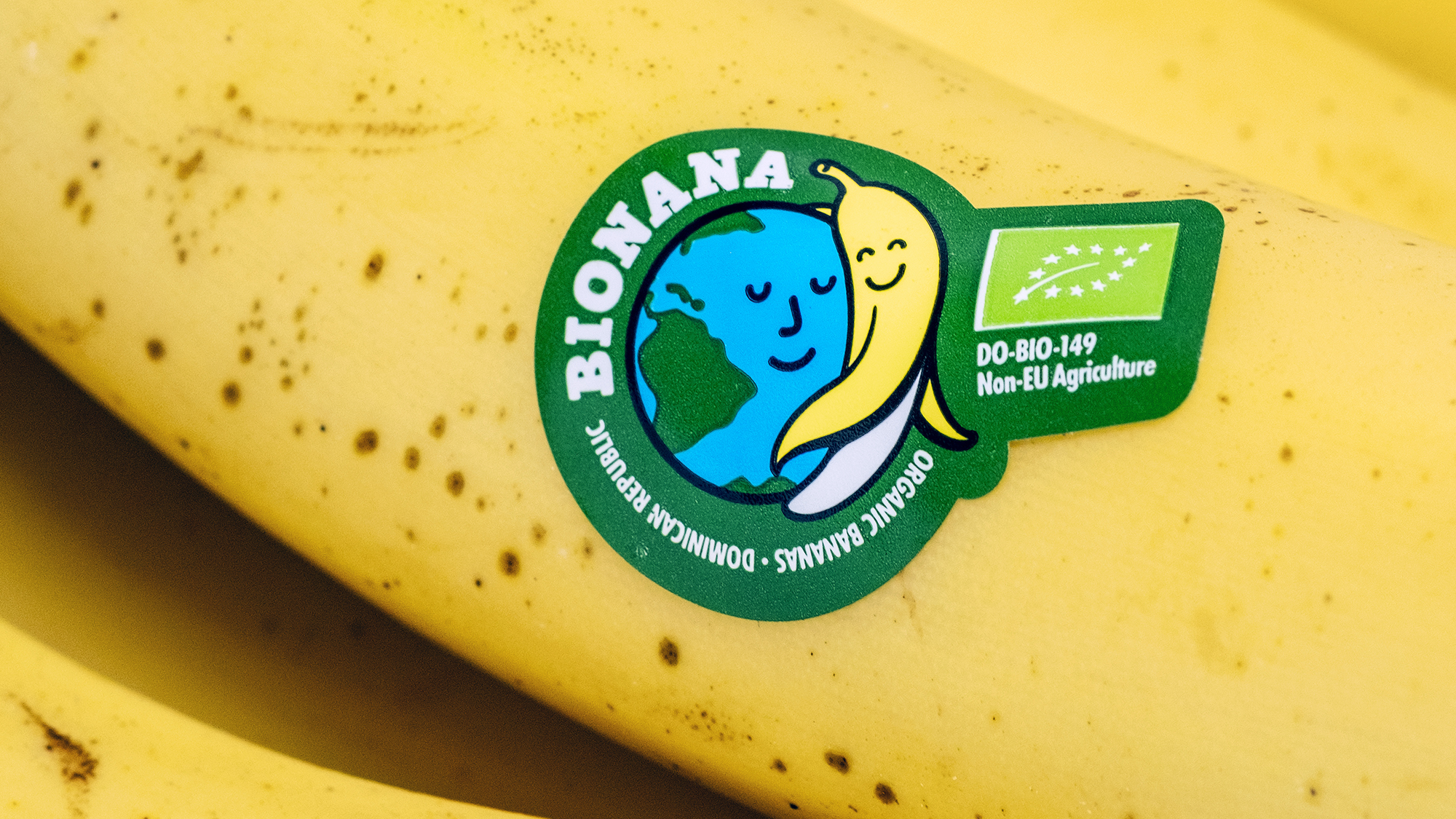 Banaan Uit Ecuador