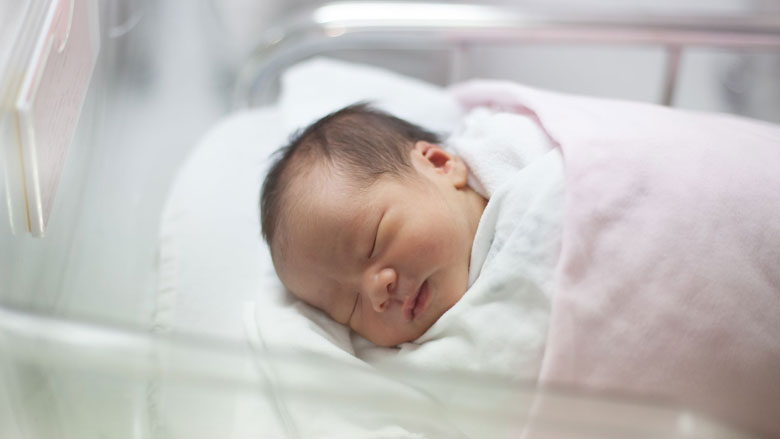 minibaby780.jpg minibaby780.jpg