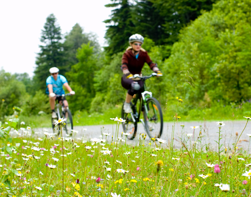 fietshelm800.jpg fietshelm800.jpg