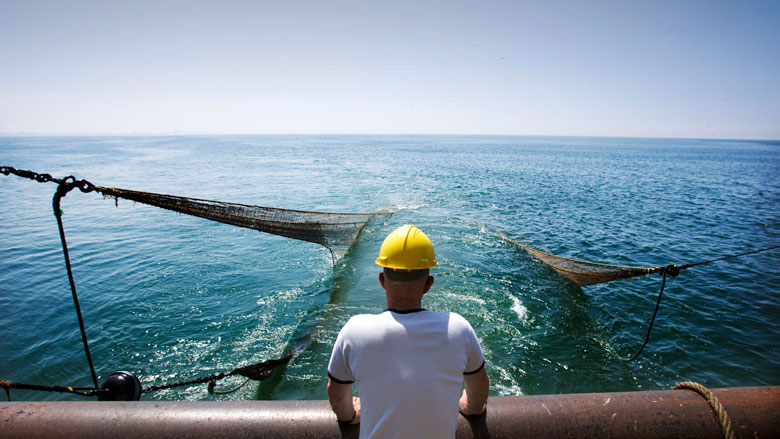 Visquota_04112019.jpg Visquota_04112019.jpg