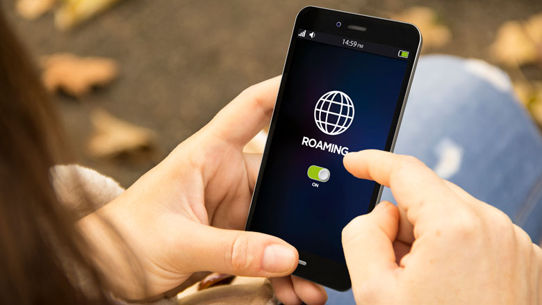 Roaming_2020.jpg Roaming_2020.jpg