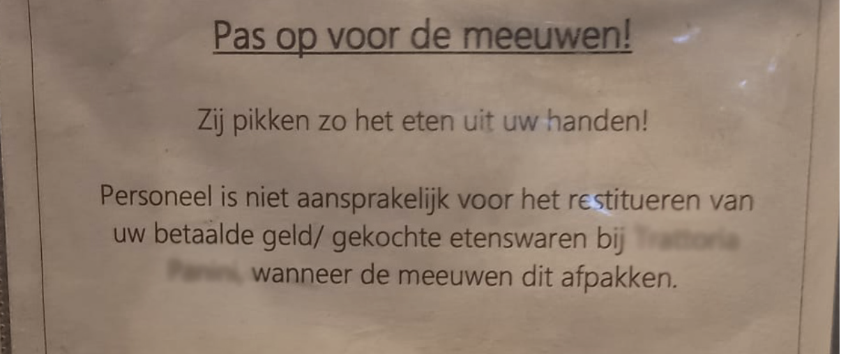 Voorbeeld Meeuwen Voorbeeld Meeuwen