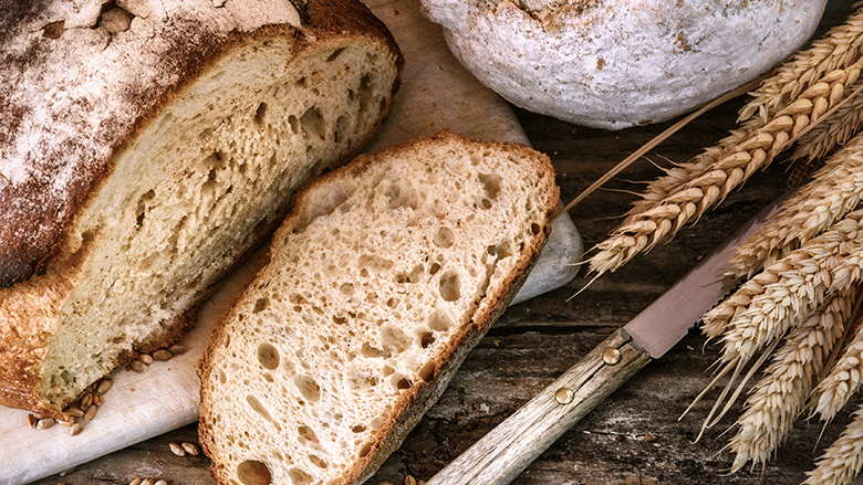 260422 brood site.jpg