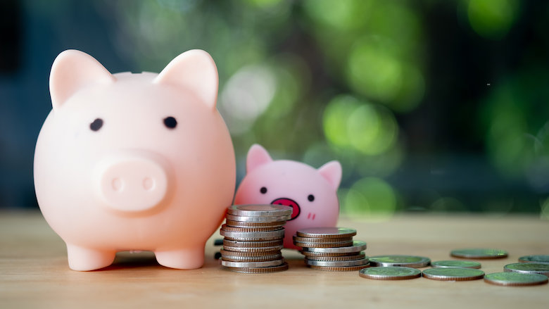 021221 spaarvarken.jpg