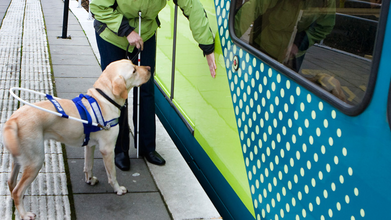 blindengeleidehond.jpg blindengeleidehond.jpg