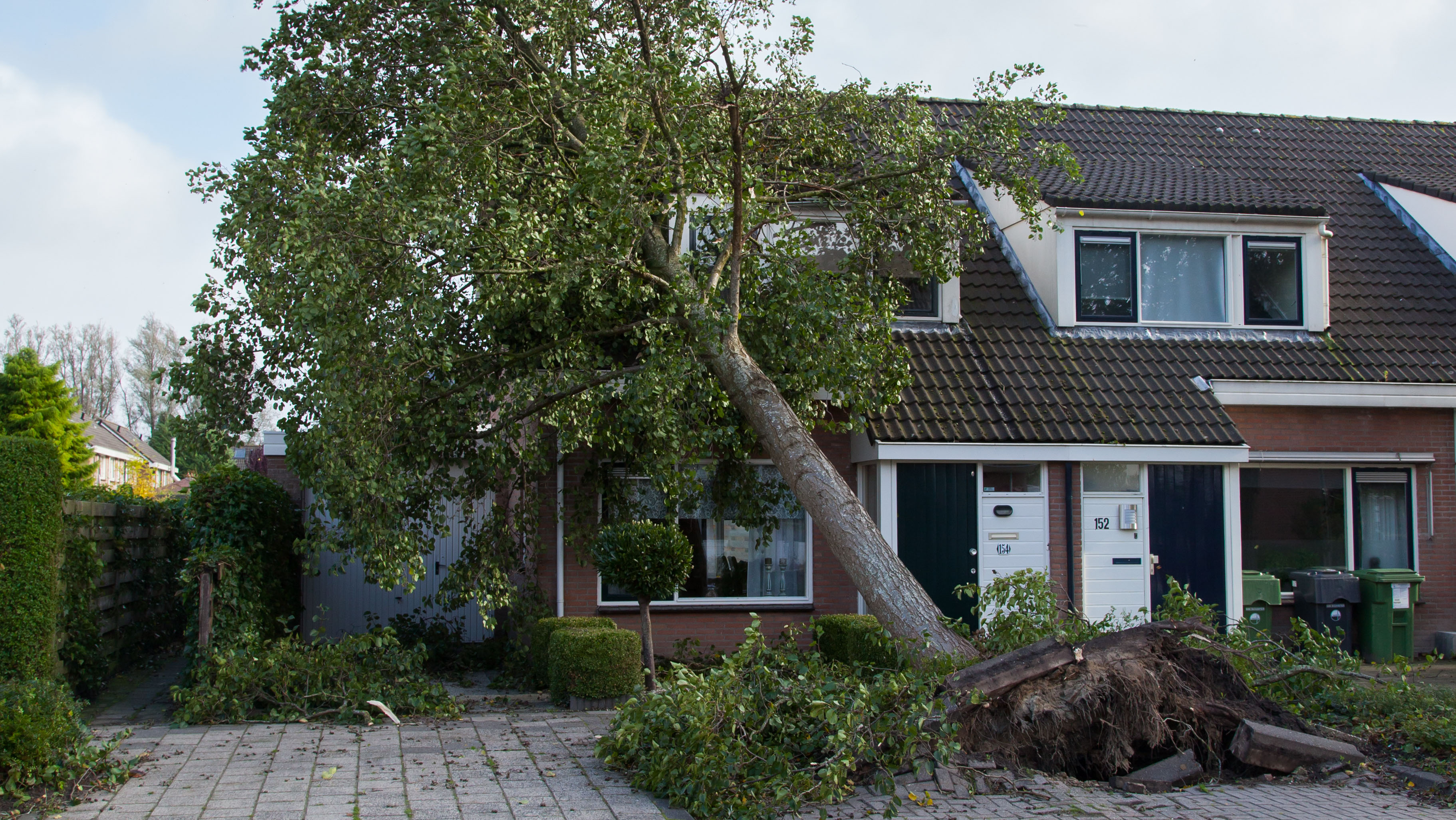 storm-schade-verzekering-10022020.jpg storm-schade-verzekering-10022020.jpg