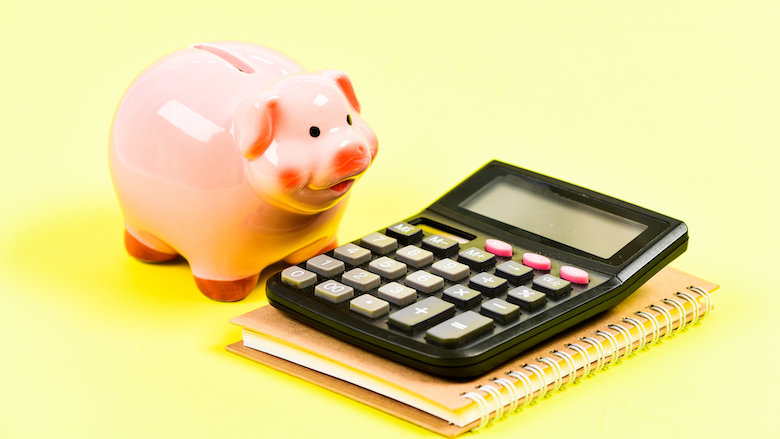 091121 spaarvarken met rekenmachine.jpg