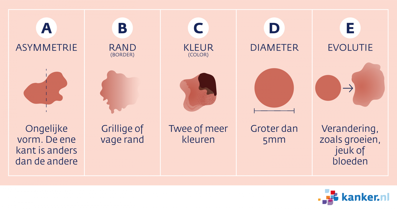 2021 Melanoom Abcde Regel 2021 Melanoom Abcde Regel
