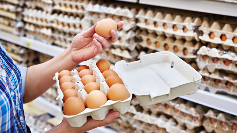 fipronilzaak-nvwa-nalatig-15042019.jpg fipronilzaak-nvwa-nalatig-15042019.jpg
