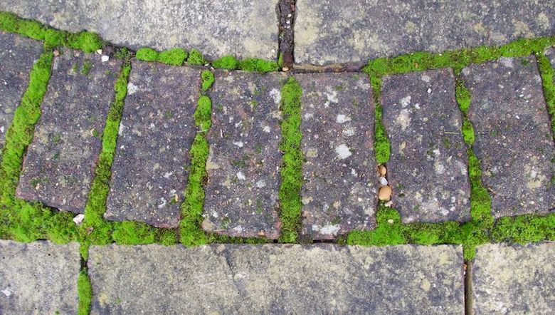 mos tegels 210222.jpg