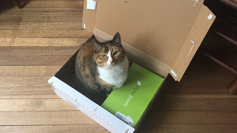 te-grote-verpakking-poes-ergernis-780.jpg te-grote-verpakking-poes-ergernis-780.jpg
