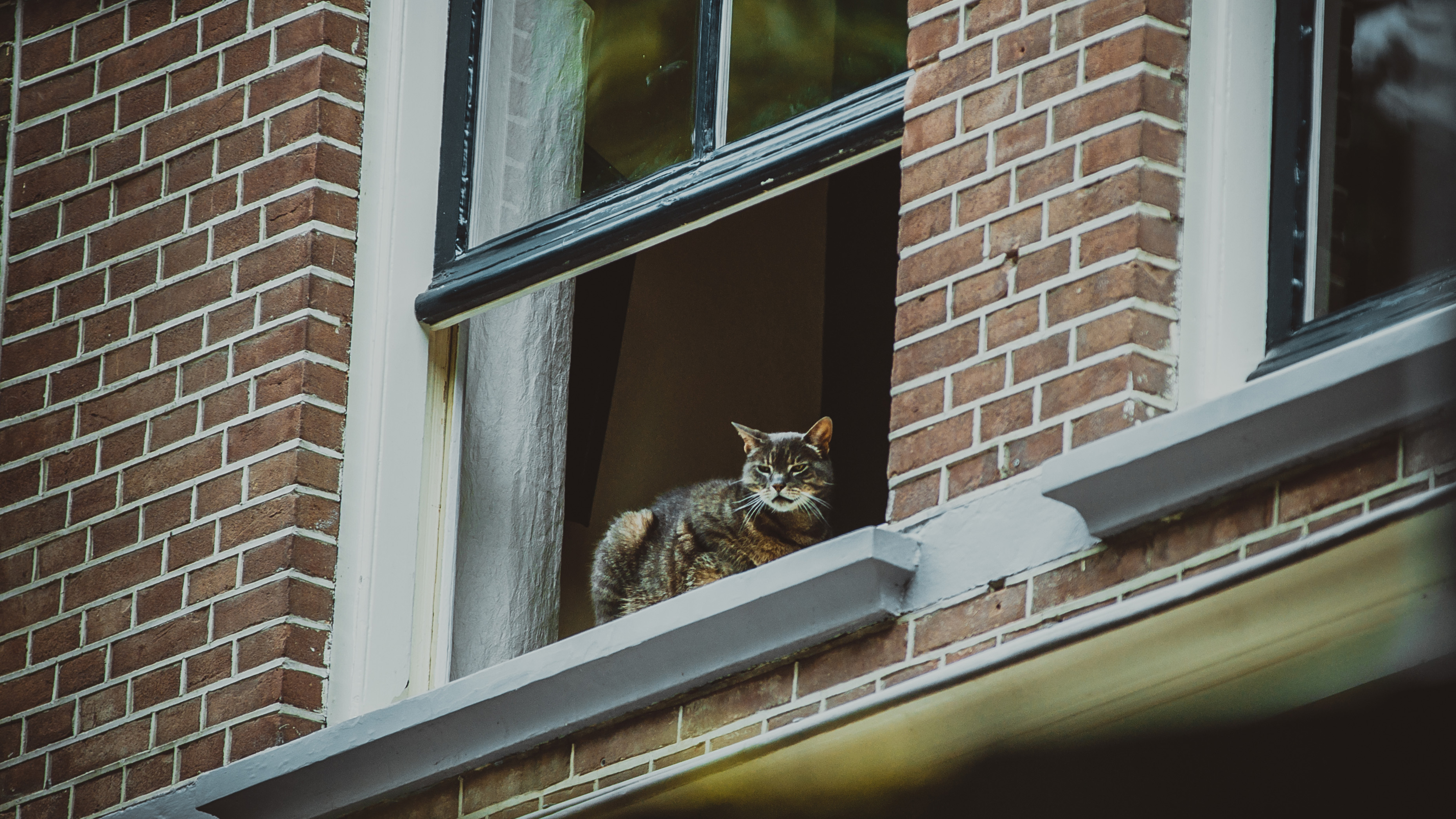 Kat Raam Kat Raam