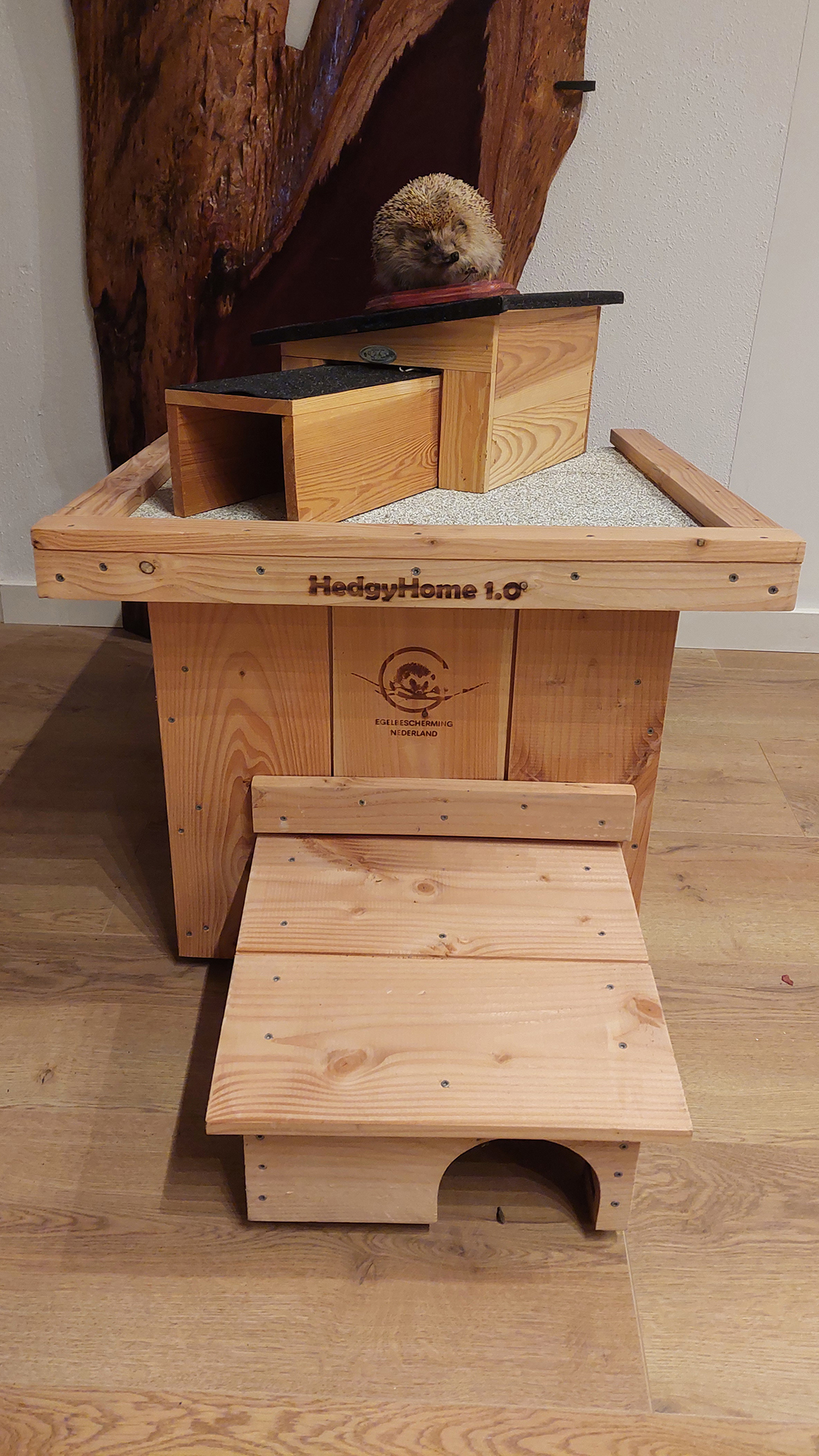 Hedgyhome 1 Hedgyhome 1