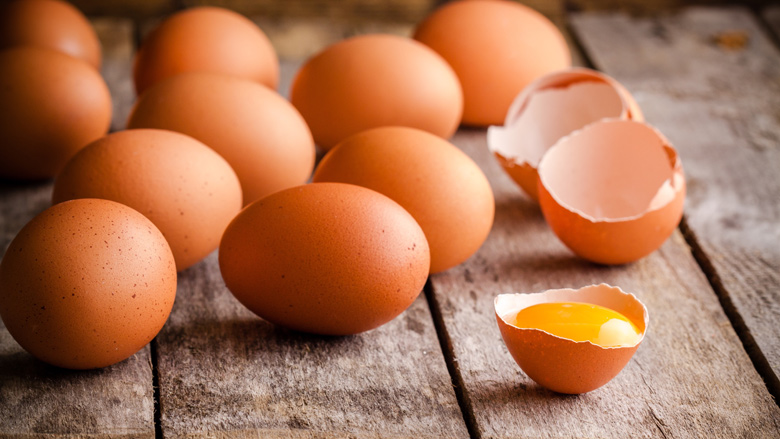 fipronil-overheid-250618.jpg fipronil-overheid-250618.jpg