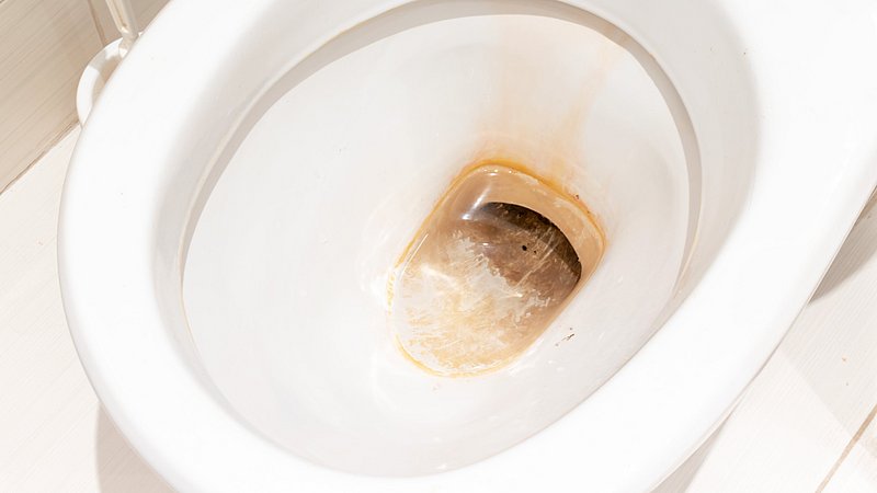 csm_Toilet_Juli2022_aa53819608.jpeg csm_Toilet_Juli2022_aa53819608.jpeg