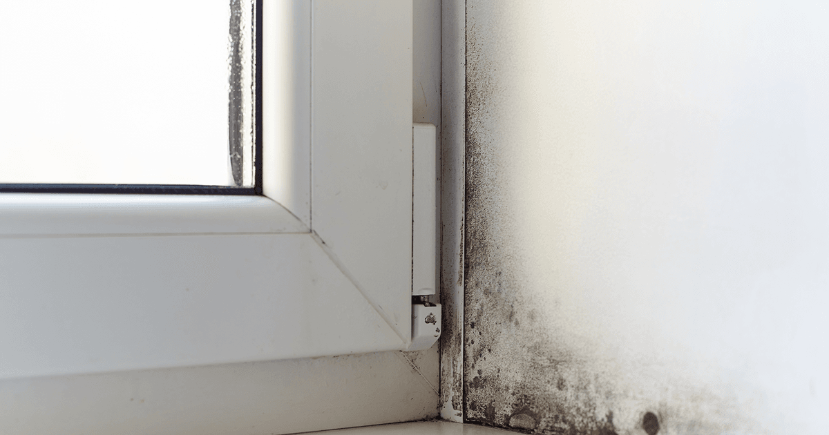 Woningcorporatie zet kastje in tegen vochtprobleem dat volgens deskundigen niet werkt