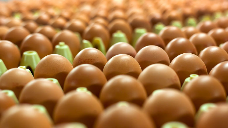 al-in-2016-september-fipronil-gevonden-belgie.jpg al-in-2016-september-fipronil-gevonden-belgie.jpg