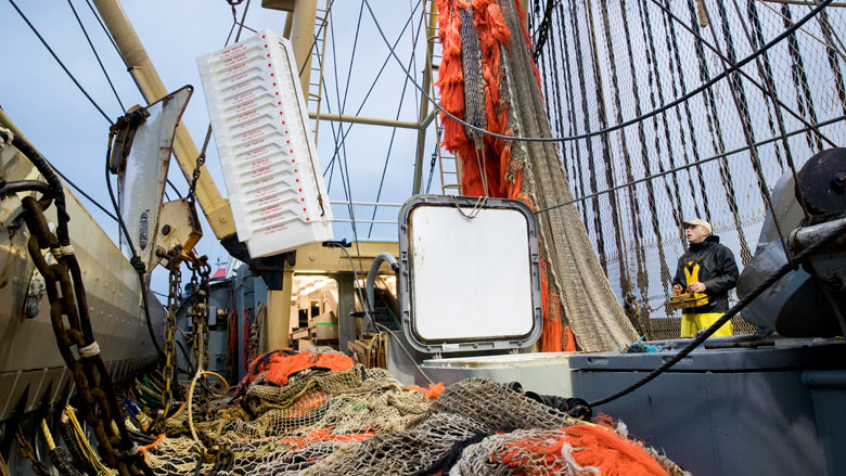 pulsvisserij-rdr-18-01-2019-780.jpg pulsvisserij-rdr-18-01-2019-780.jpg