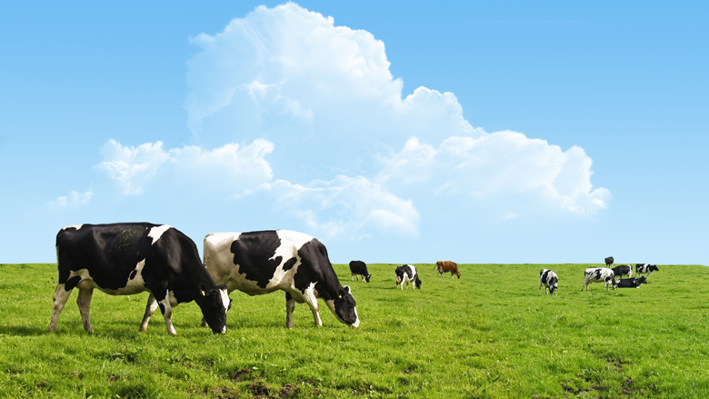 platteland-longaandoeningen.jpg platteland-longaandoeningen.jpg
