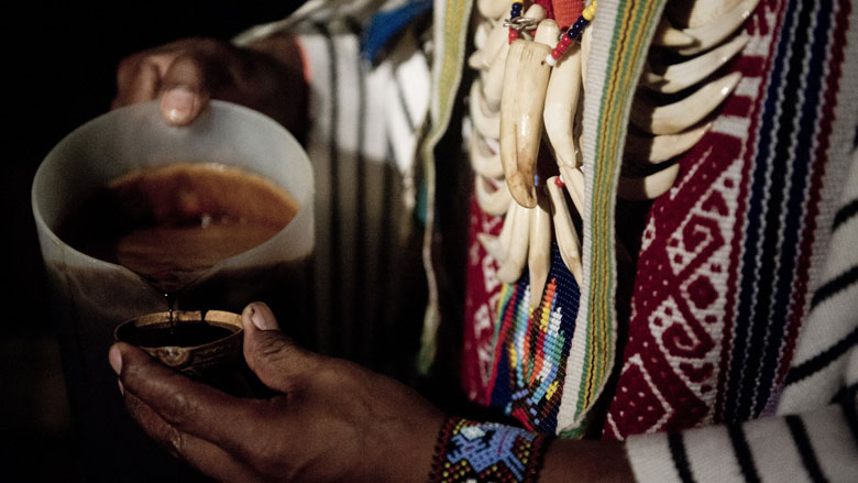 ayahuasca-250402019.jpg ayahuasca-250402019.jpg