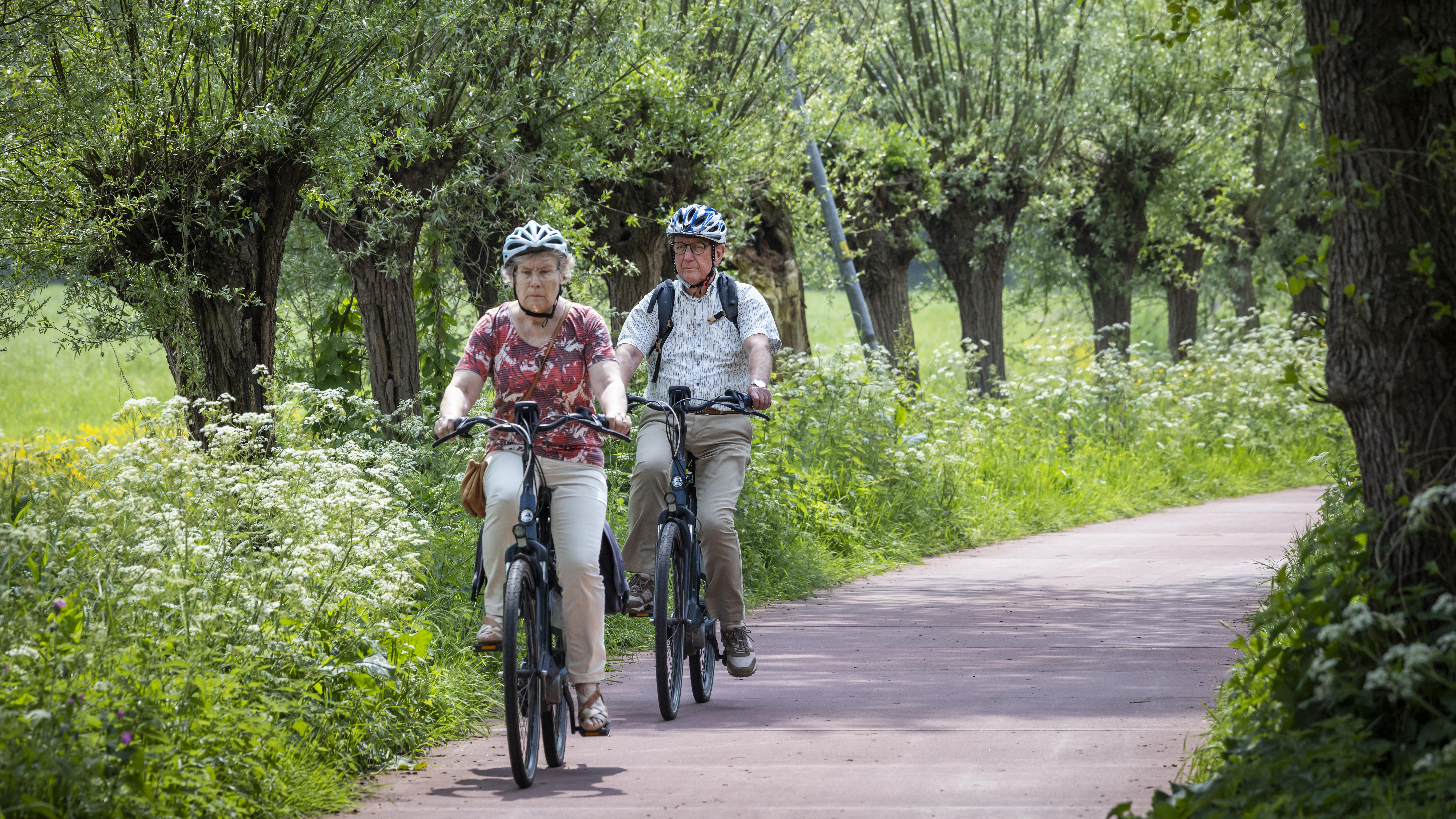 Elektrische Fiets Helm