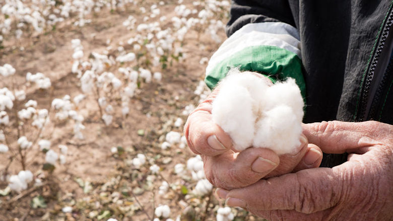 210507 katoen kopie.jpg