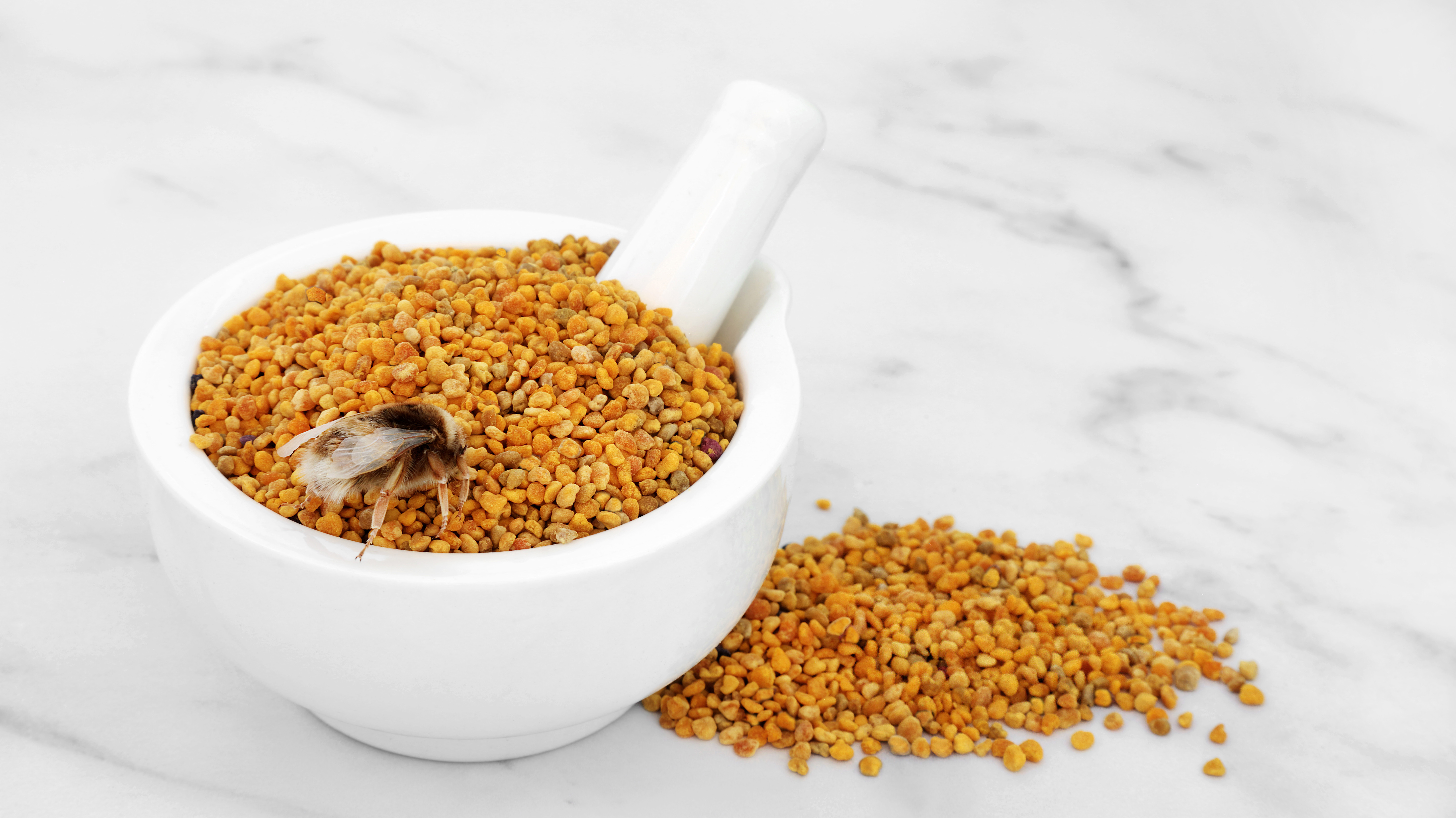 Bijenpollen.jpg Bijenpollen.jpg