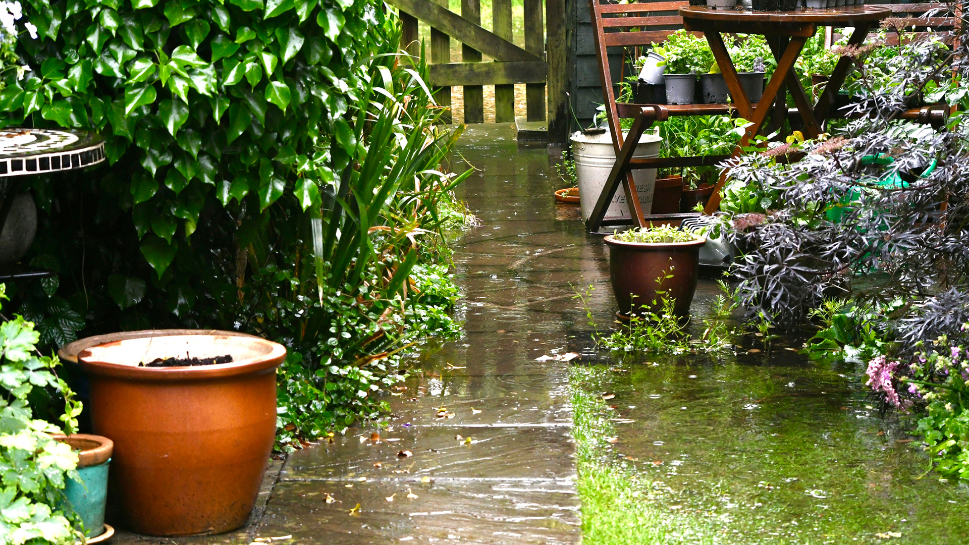 Natte Tuin Natte Tuin