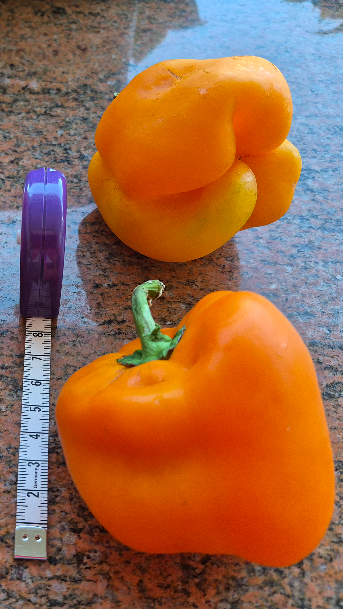 Paprika's