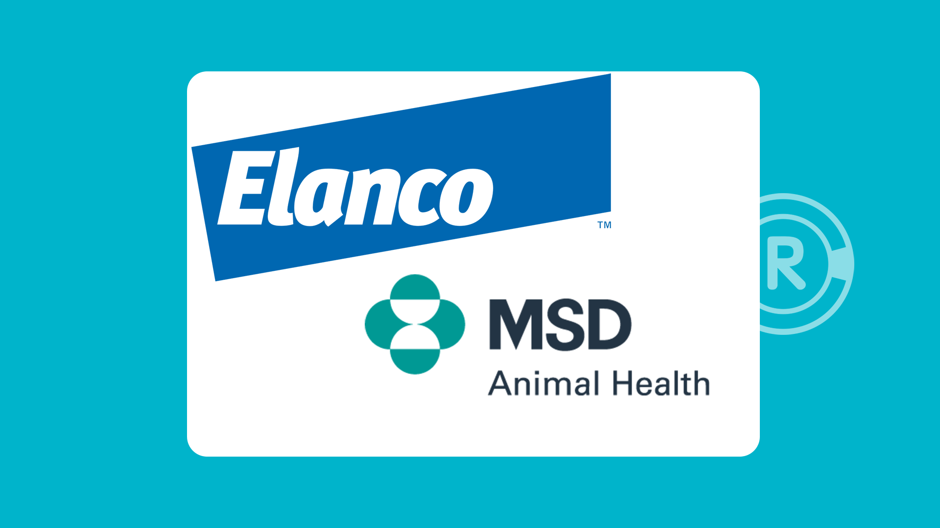 Reacties Vlooien Fabrikant