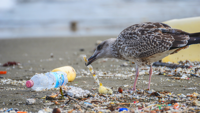 plastic-verbod-eu-191218.jpg plastic-verbod-eu-191218.jpg
