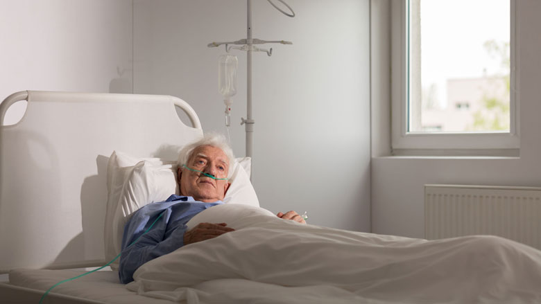 euthanasei12042017.jpg euthanasei12042017.jpg
