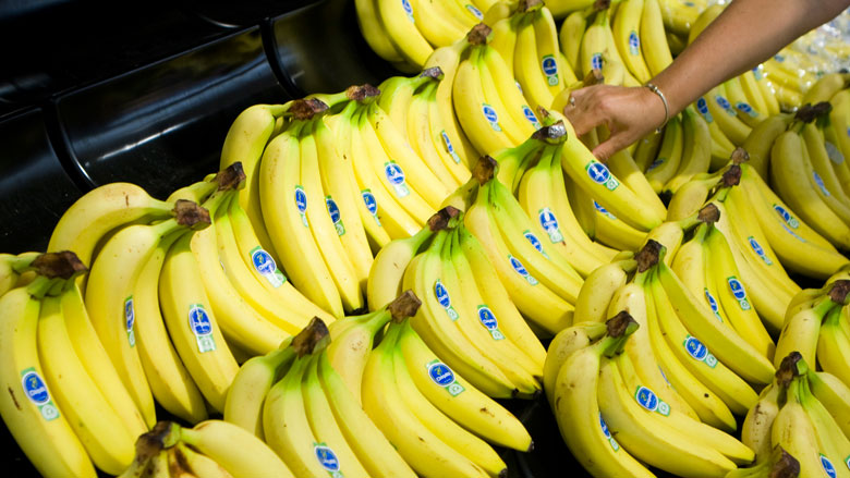 stickers-banaan-plucode-15022019.jpg stickers-banaan-plucode-15022019.jpg