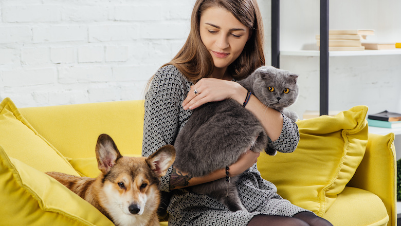 30:03 huisdieren.jpg