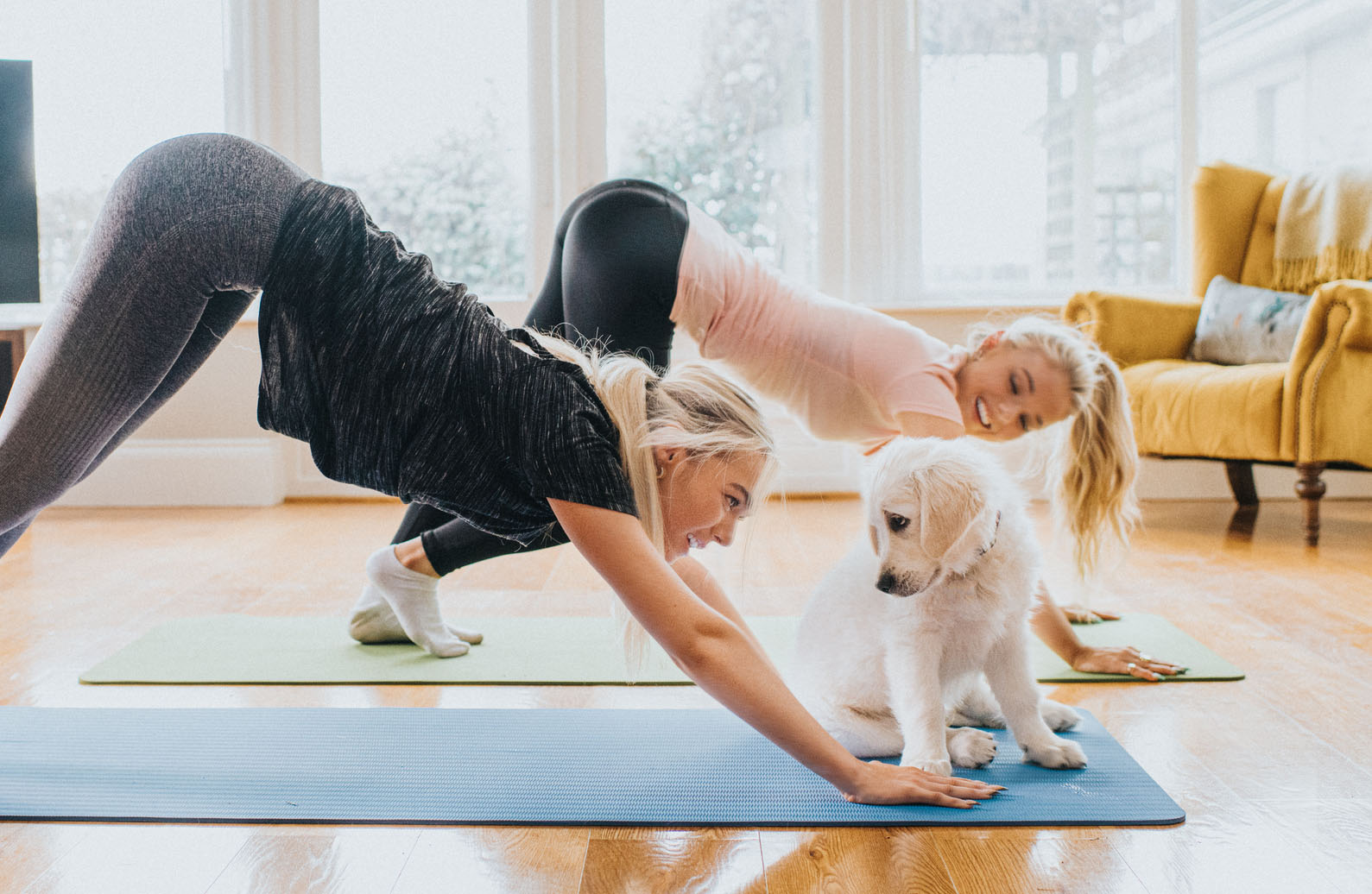 Puppy Yoga