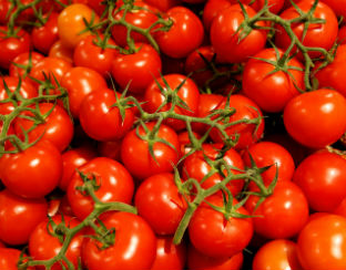tomaten-anp312.jpg