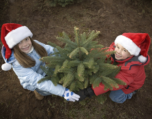 kerstboom_kinderen312.jpg