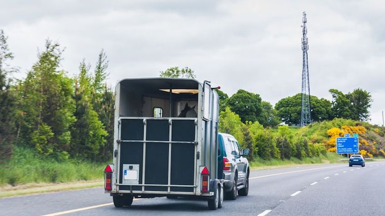 20190810_trailer.jpg 20190810_trailer.jpg