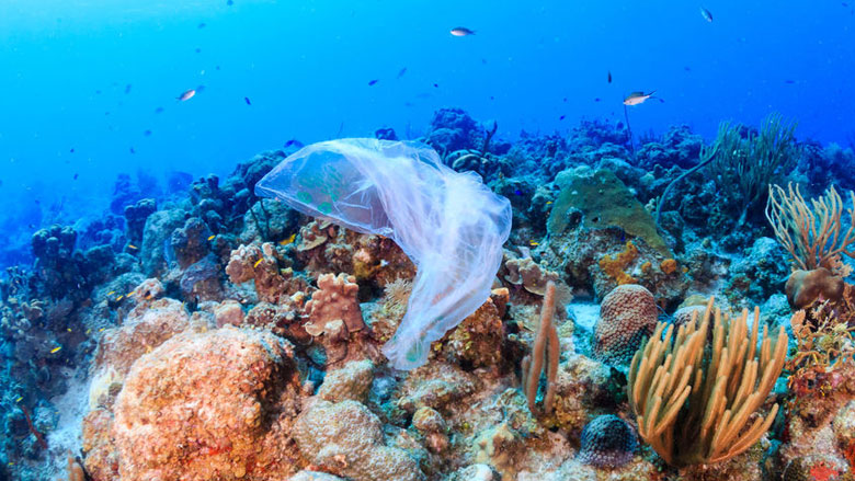 wegwerpplastic-caribisch-nl-18-07-2019.jpg wegwerpplastic-caribisch-nl-18-07-2019.jpg