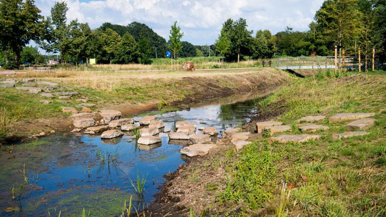 droogte-ondanks-regen-nog-niet-over16082018.jpg droogte-ondanks-regen-nog-niet-over16082018.jpg