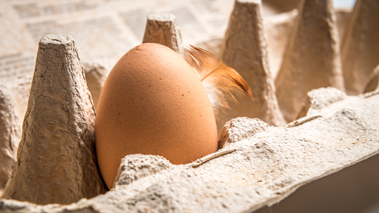 aldi-en-jumbo-dienen-geen-schadeclaim-in-vanwege-fipronilcrisis-201117.jpg aldi-en-jumbo-dienen-geen-schadeclaim-in-vanwege-fipronilcrisis-201117.jpg