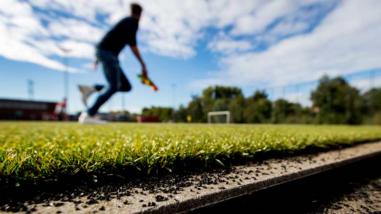 grasveld.jpg grasveld.jpg