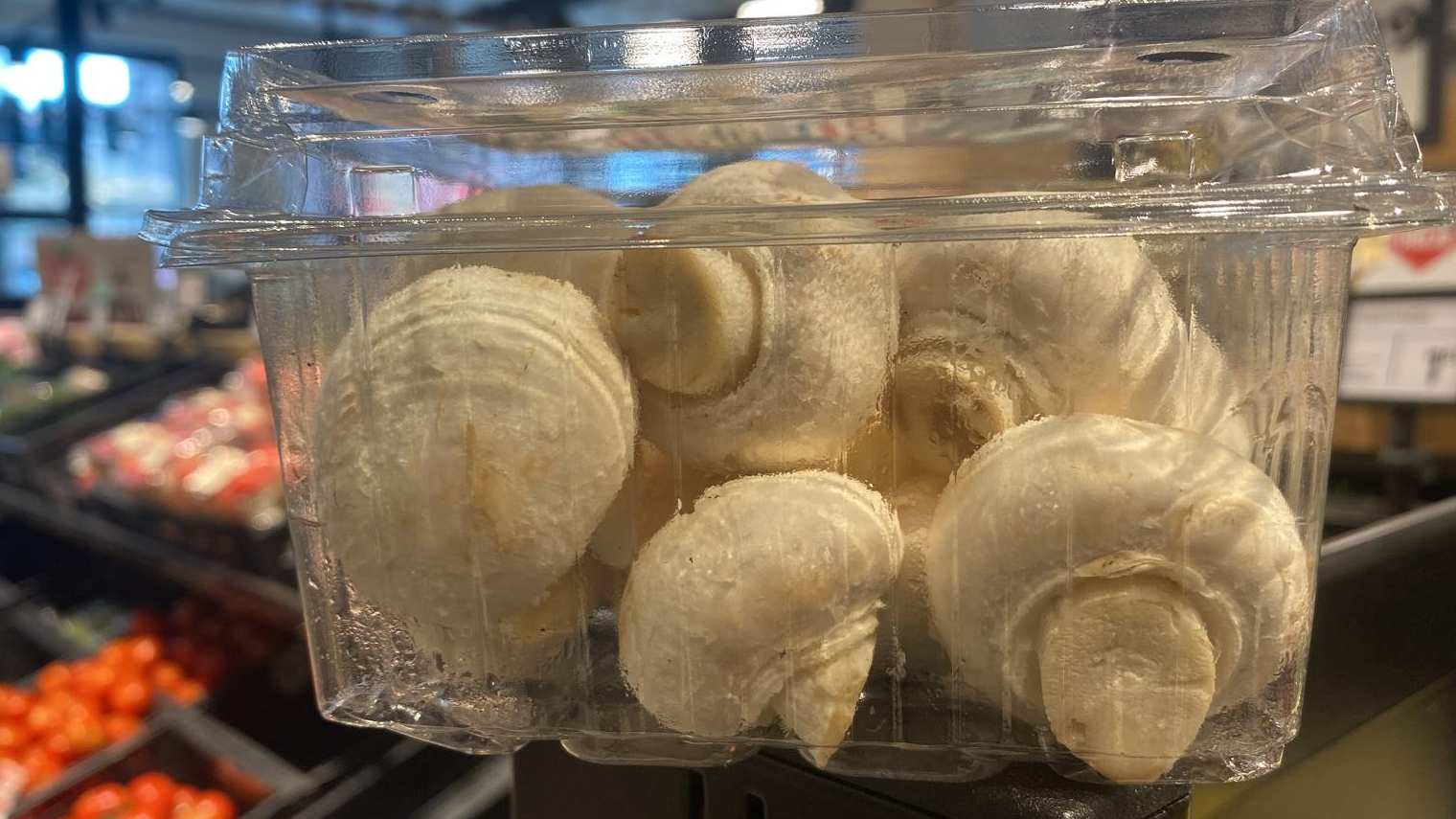 Champignons foto 8 april.png Champignons foto 8 april.png