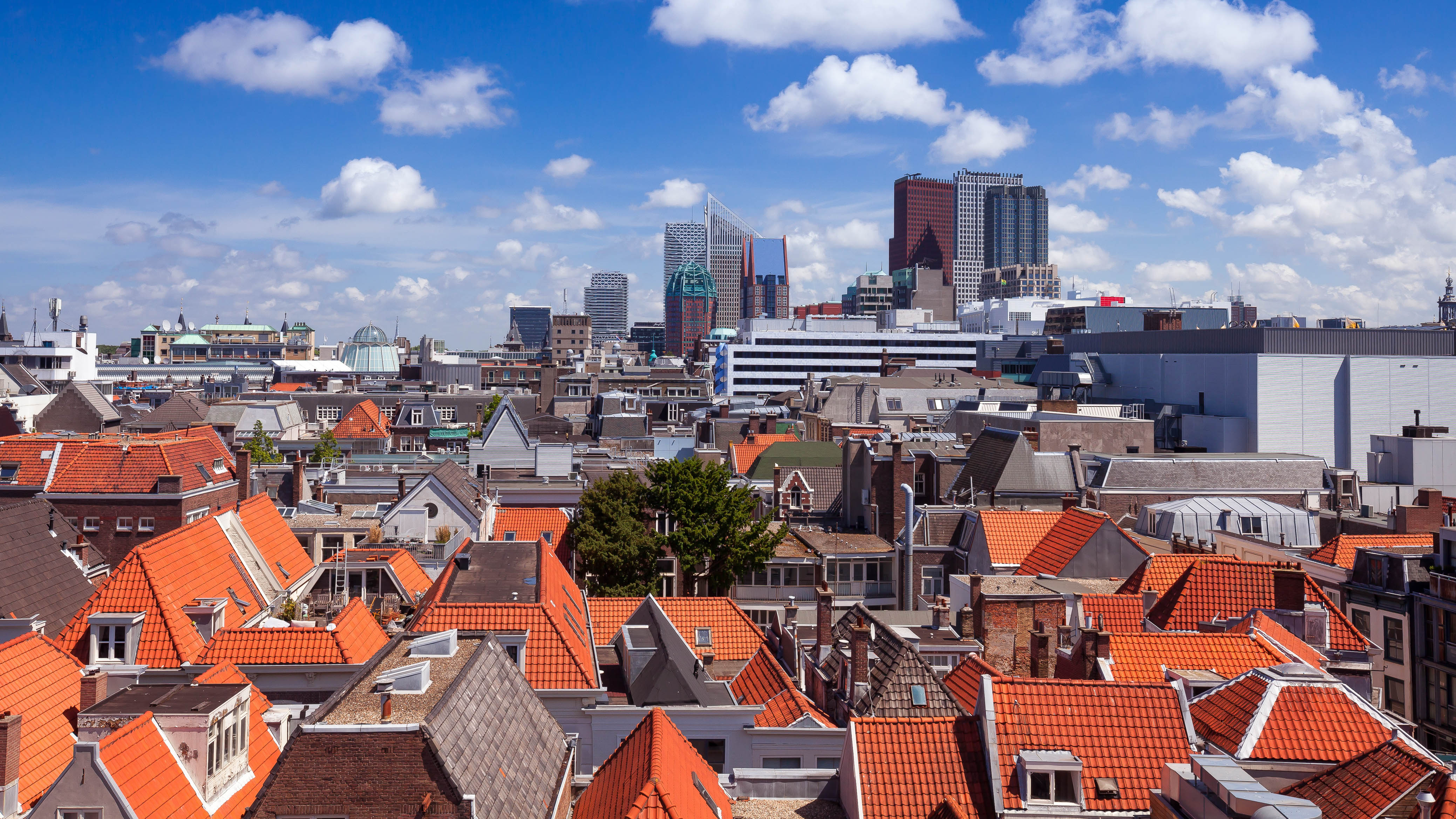 oostnederland-denhaag-verhuizen-11112019.jpg oostnederland-denhaag-verhuizen-11112019.jpg