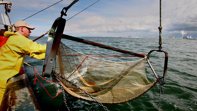 visvangst-28062019.jpg visvangst-28062019.jpg