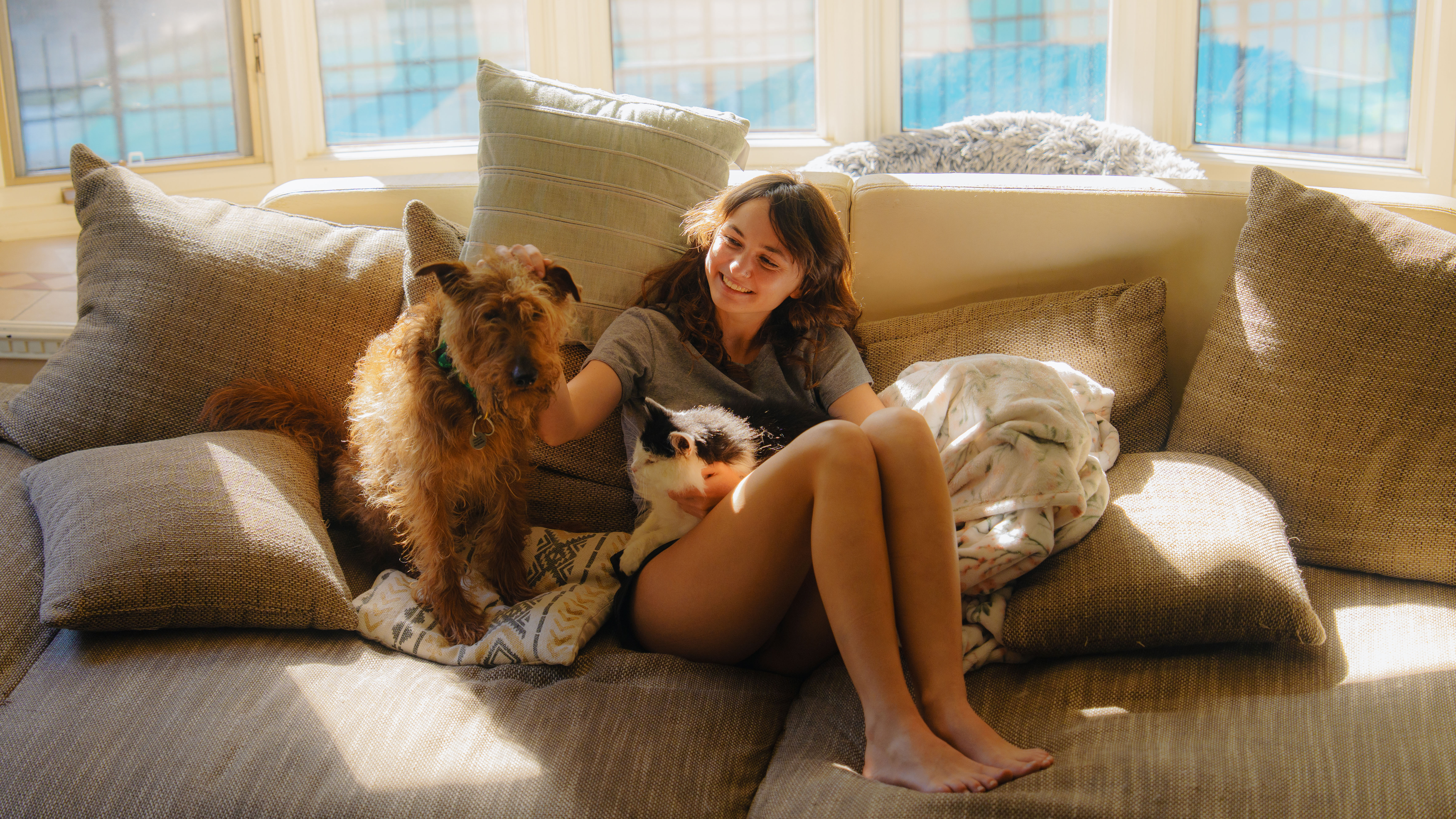Kosten Hond Kat Kosten Hond Kat